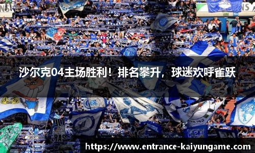 沙尔克04主场胜利！排名攀升，球迷欢呼雀跃